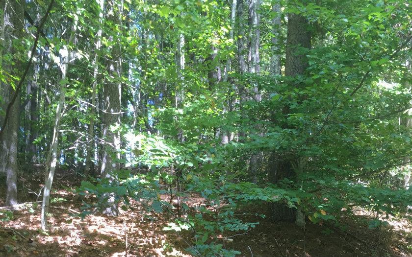 Image 3: Additional View