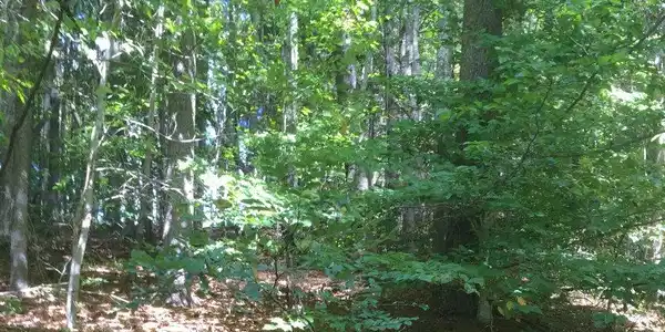 Image 3: Additional View