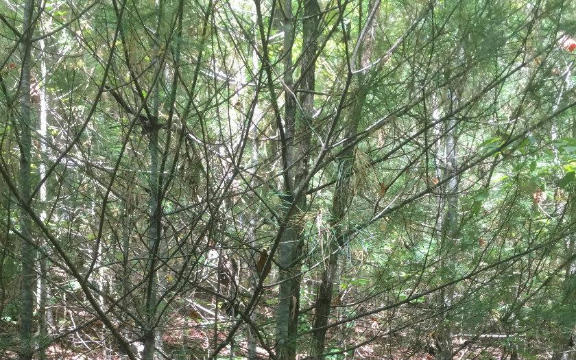 Image 4: Additional View