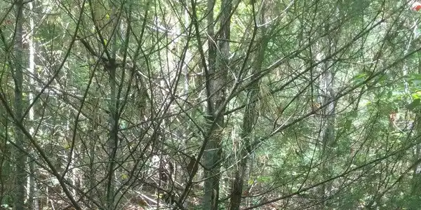 Image 4: Additional View