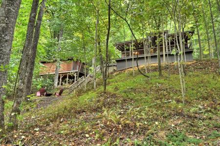 163 Chestnut Ridge Trail