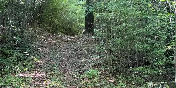 Rj Mountain View Drive