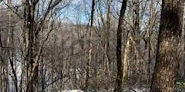 19N Fox Run Lane