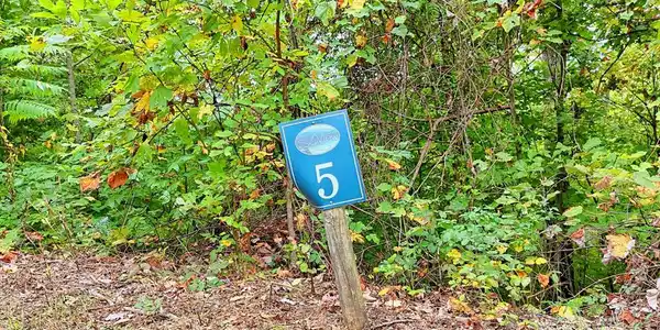 Lot 5 Skyview Drive
