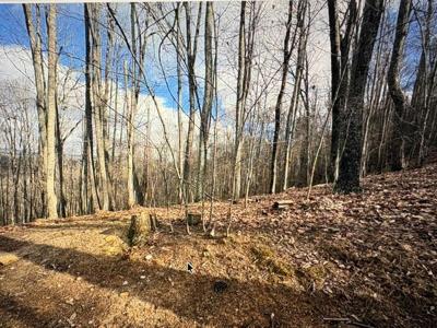 Lot 7C Timber Bend