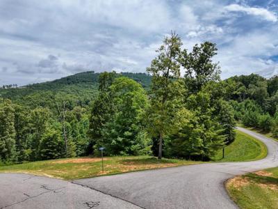 Lot 118 Riverside On Lake Nottely