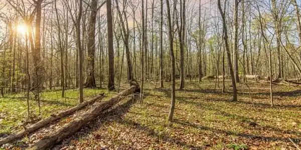 6 Acres Flat Creek Road