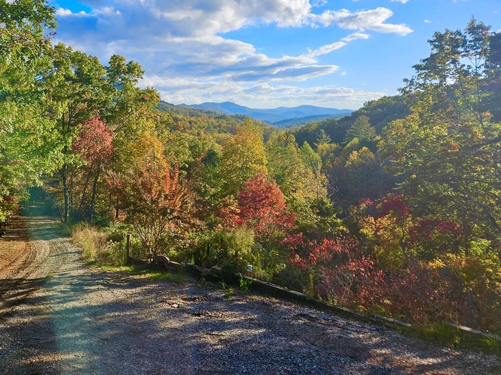 Image 3: All Season View