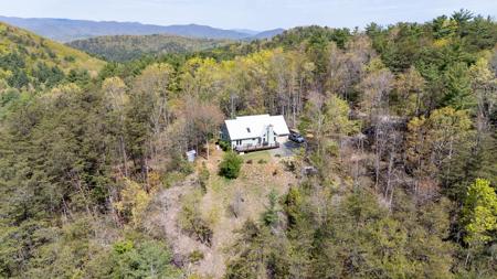 306 Pig Trail