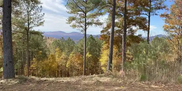 Lot 14 Mile High Lane