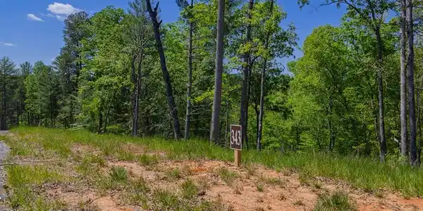 Lot 343 Shallow Branch Drive