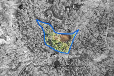 84 Spiva Cove Mountain Trail
