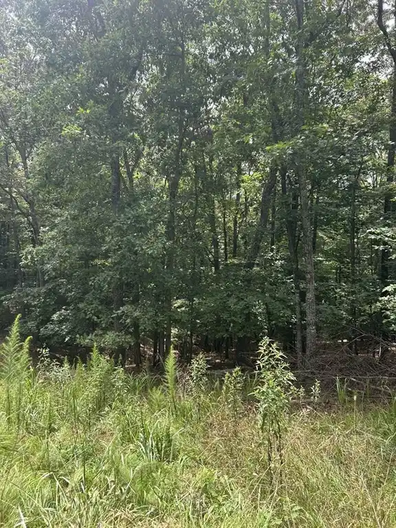 Image 1: Main View
