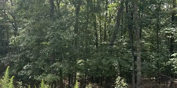 1.5 Liberty Hill Road