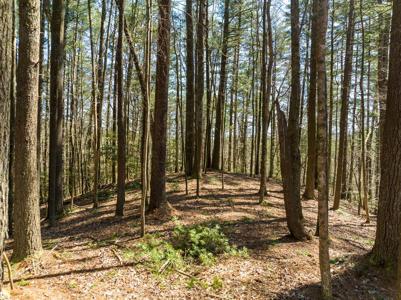 Lot 658 Satsuma Court