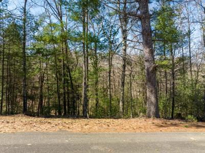 Lot 164 Shenendoa Drive