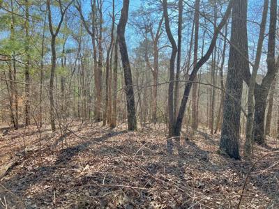113 Beech Tree Drive
