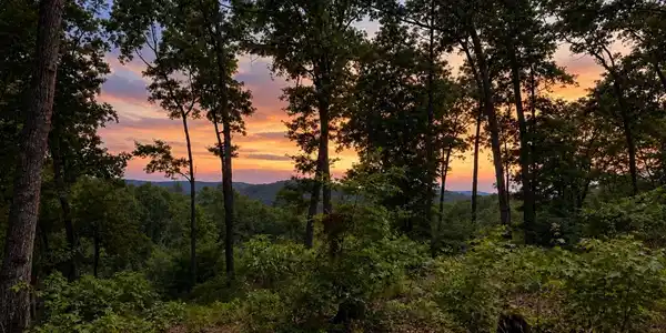 Lot 20 Lake Top Lane