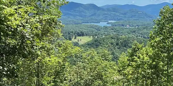 LT 10 Longview Ridge