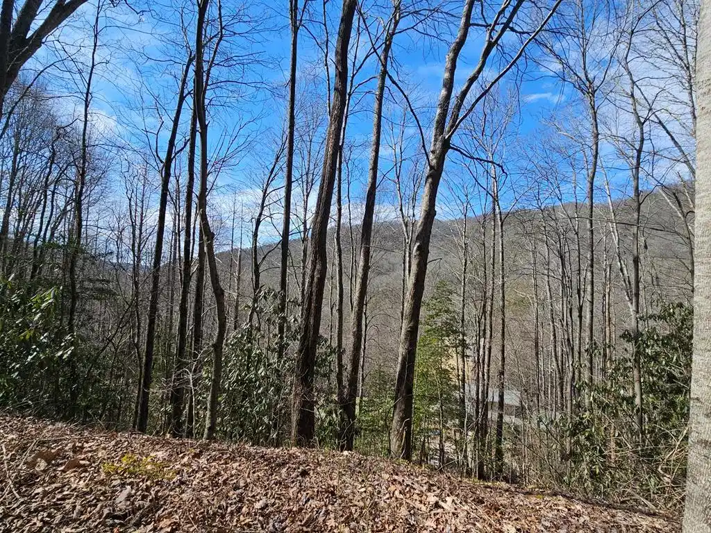 Image 1: Main View