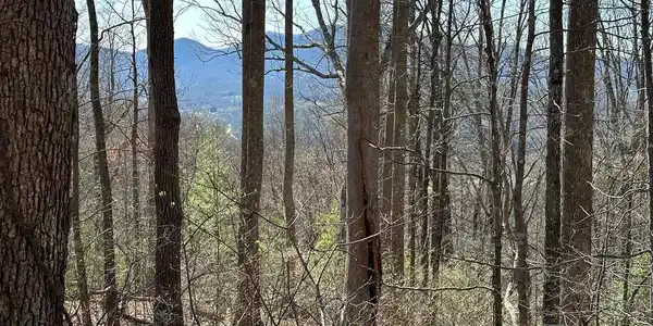 Lot 80 Asheland Cove