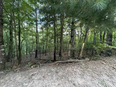 Lot 46 Fox Run Drive