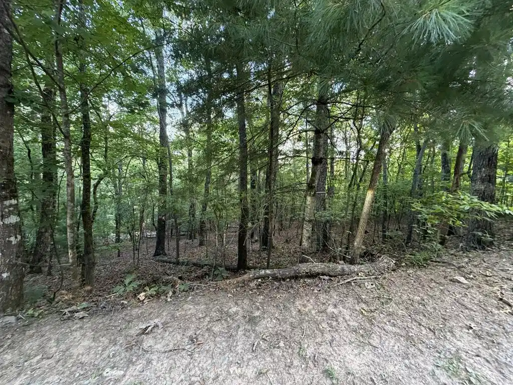 Image 1: Main View