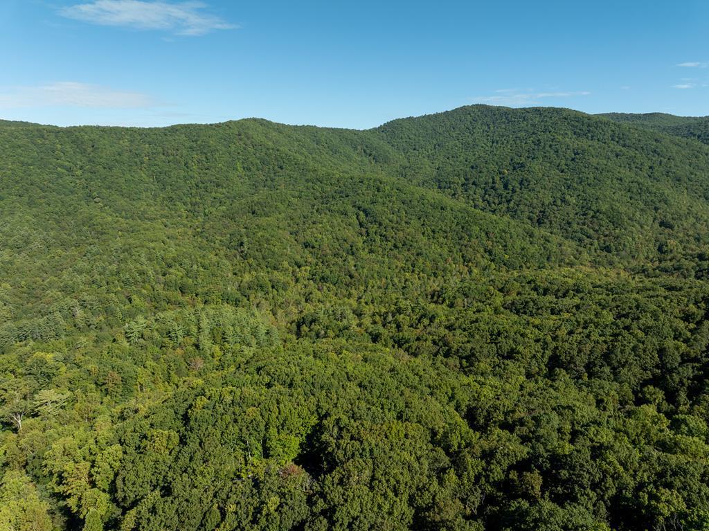 Image 1: Main View