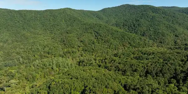 Lot 18 Wilderness Way