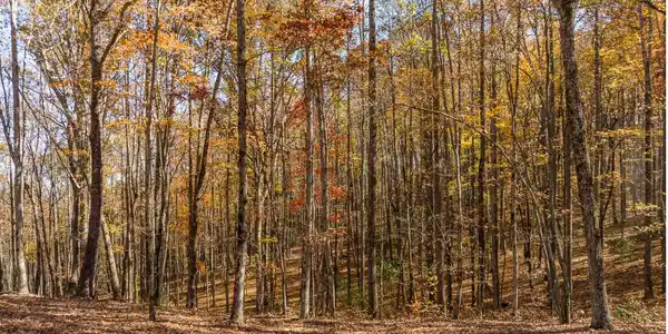 Lot 17R Tanager Trail