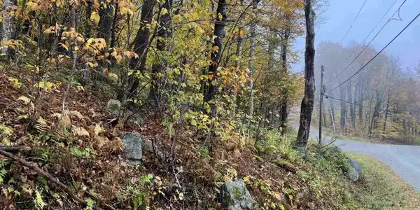 564 Upper Dam Road