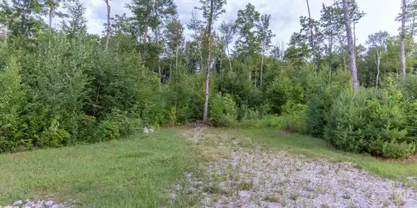 Image 4 Image 4