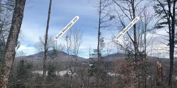 Image 3: Burke Mountain Views From Lot