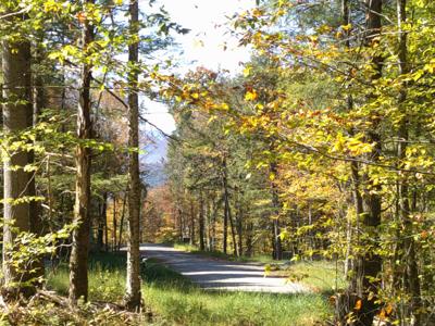 0 Dogwood Springs Road