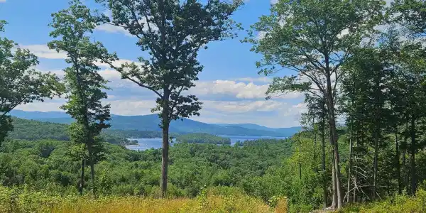 207 Overlook Drive
