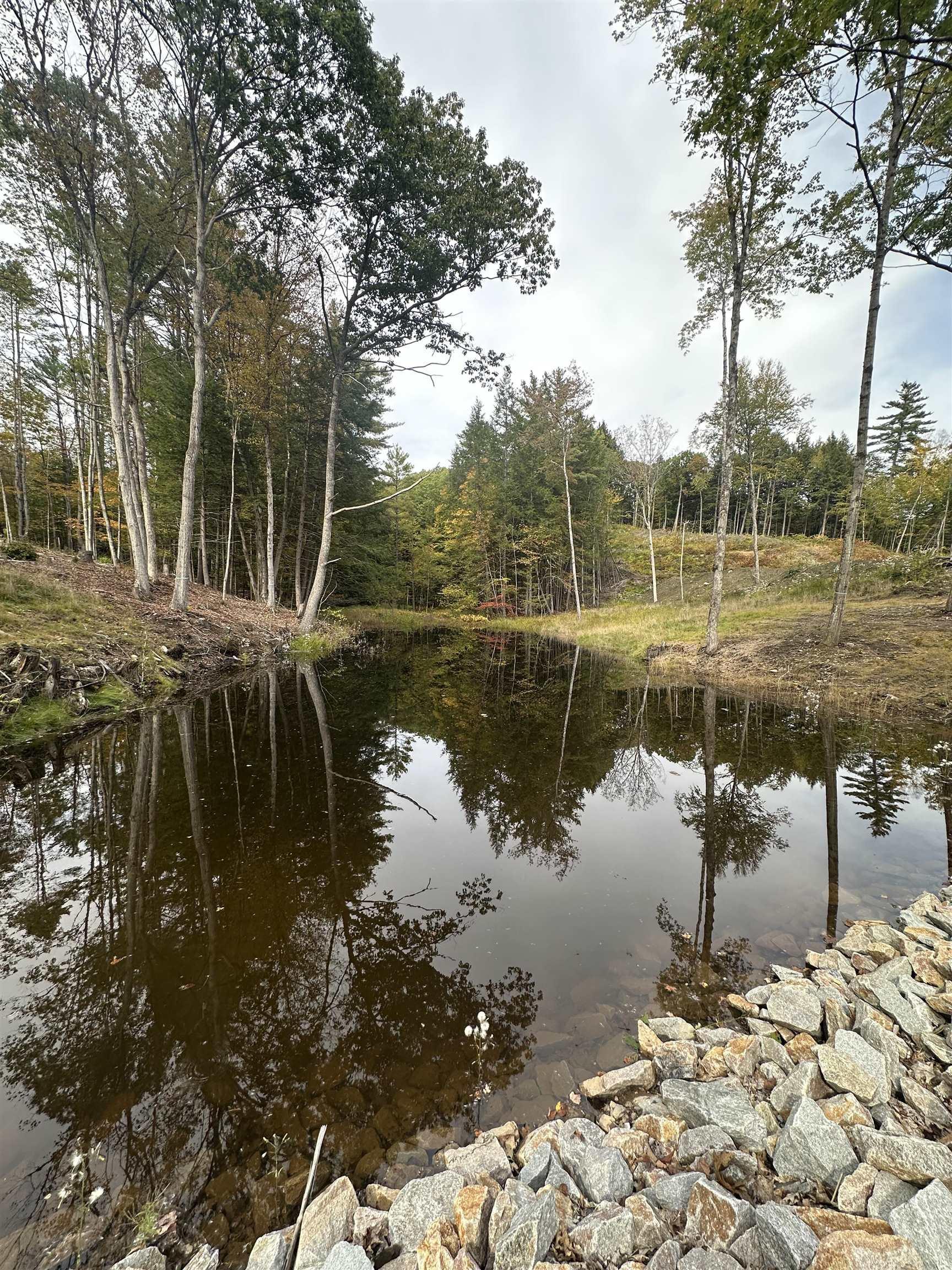 Image 4 Image 4