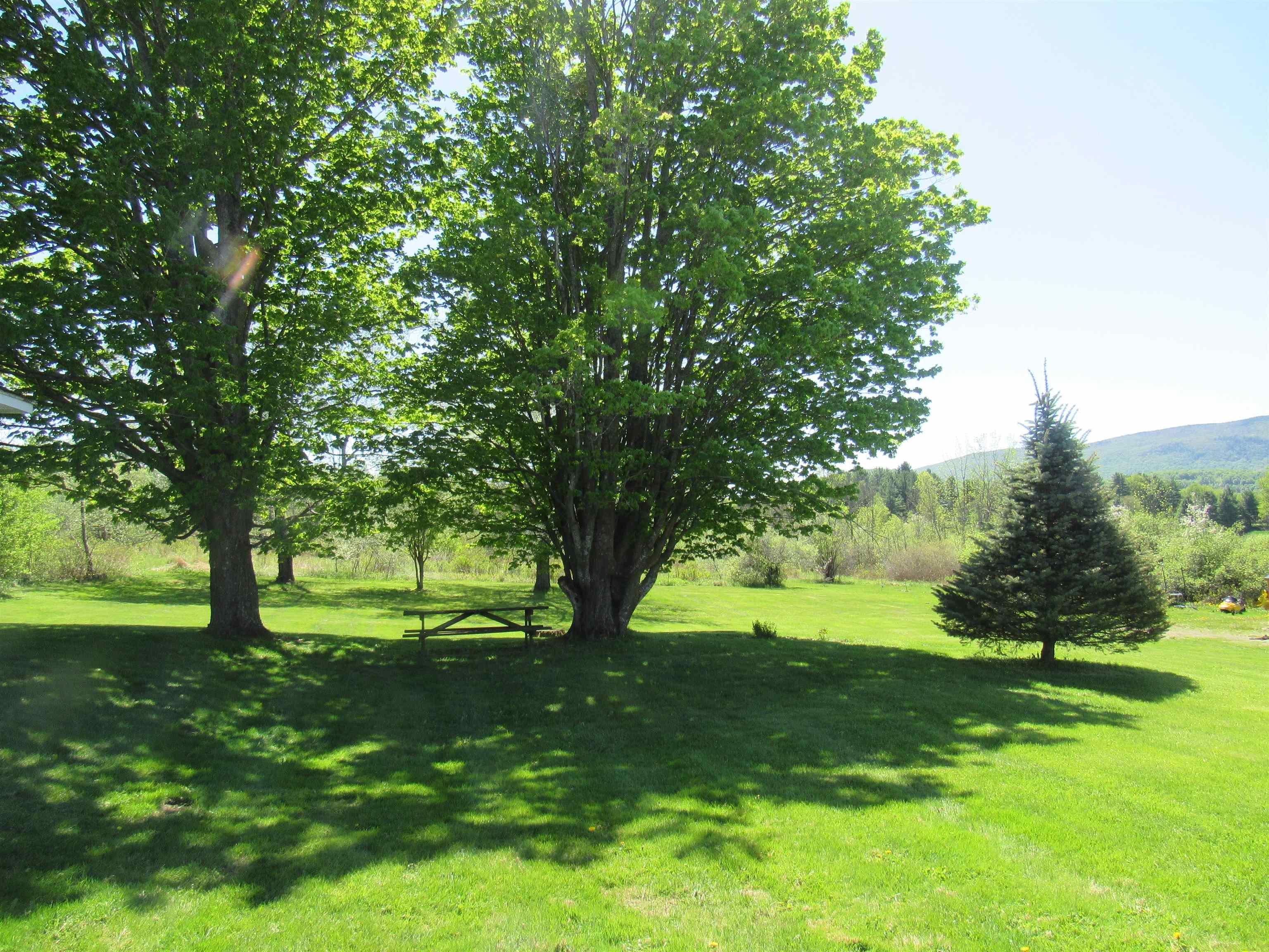 Image 2: Wonderful Back Yard, Mtn Views