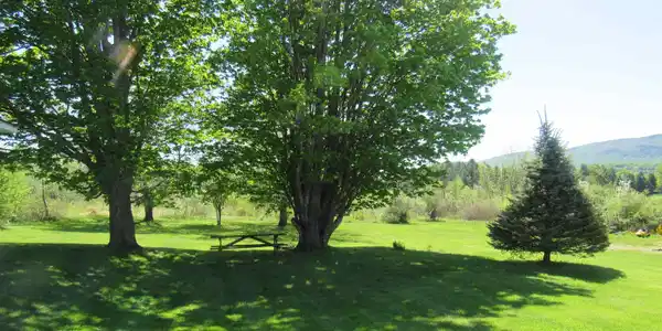 Image 2: Wonderful Back Yard, Mtn Views