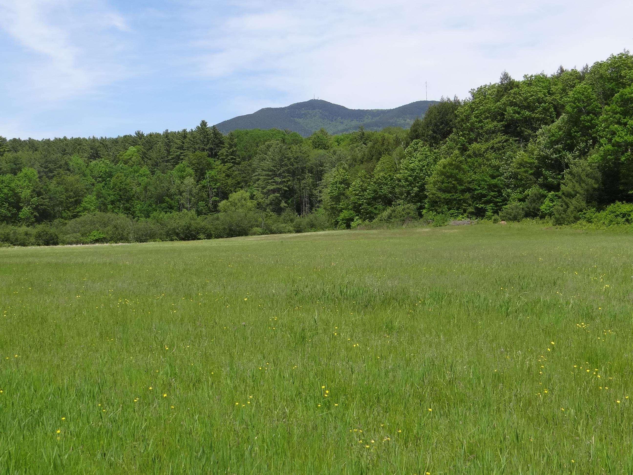 Image 1 Image 1