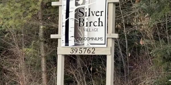 62 Silver Birch Place