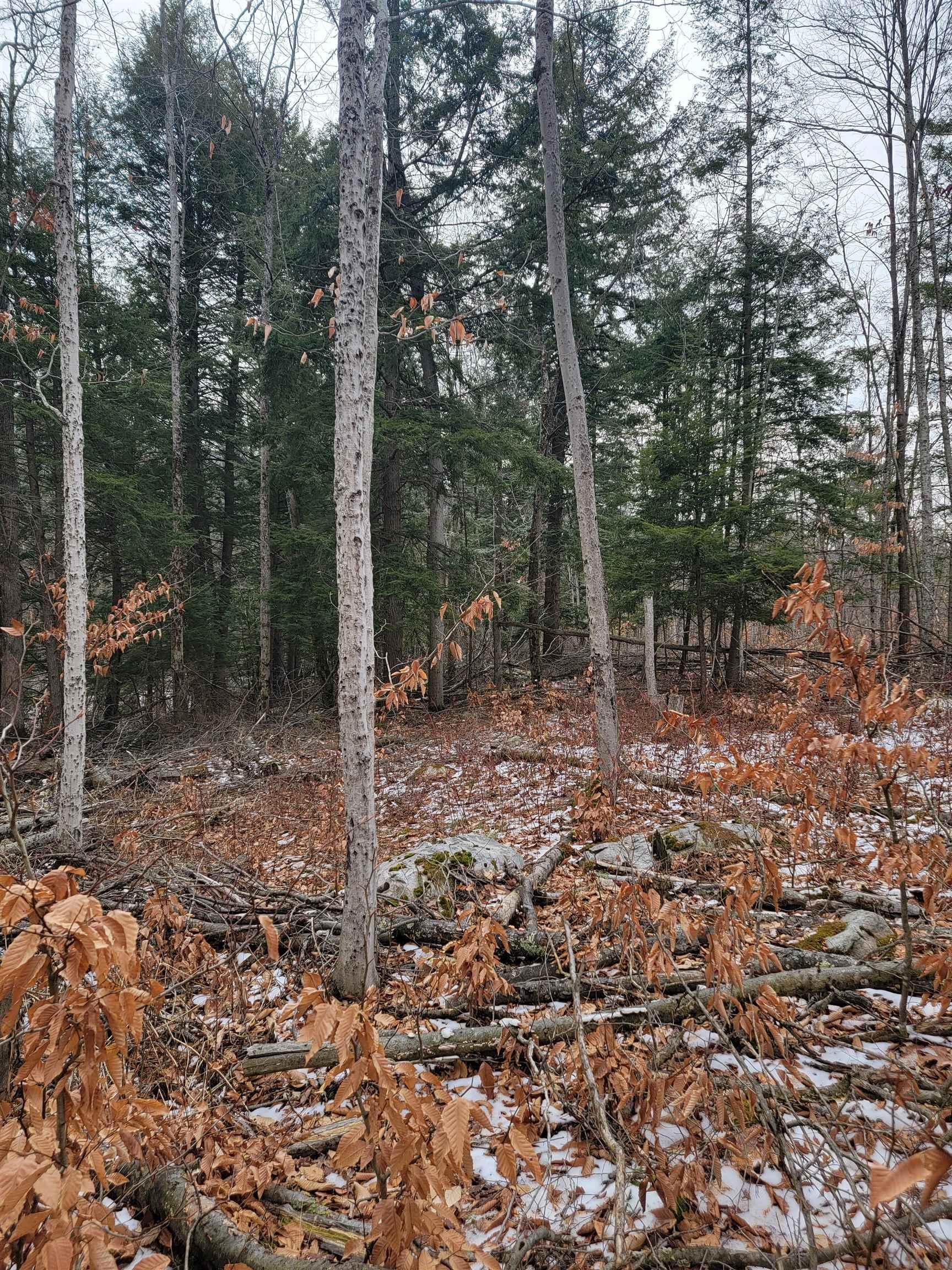 Image 4 Image 4