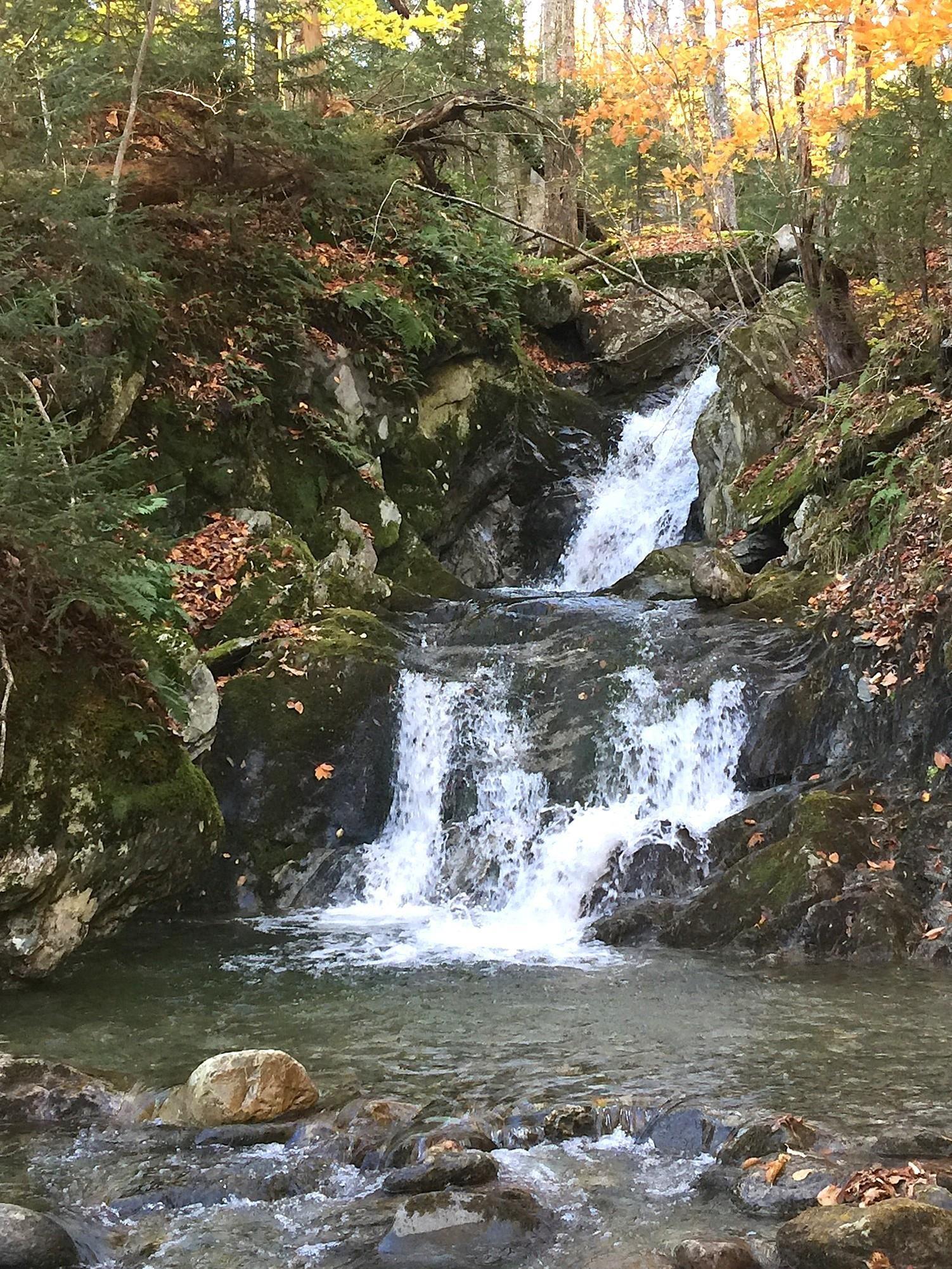Image 2: Taylor Brook Waterfall Image 2: Taylor Brook Waterfall