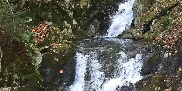 Image 2: Taylor Brook Waterfall