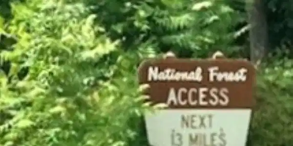 Image 4: Bordered North And West By US National Forest
