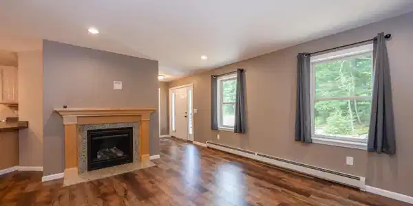 Image 4: Propane Fireplace