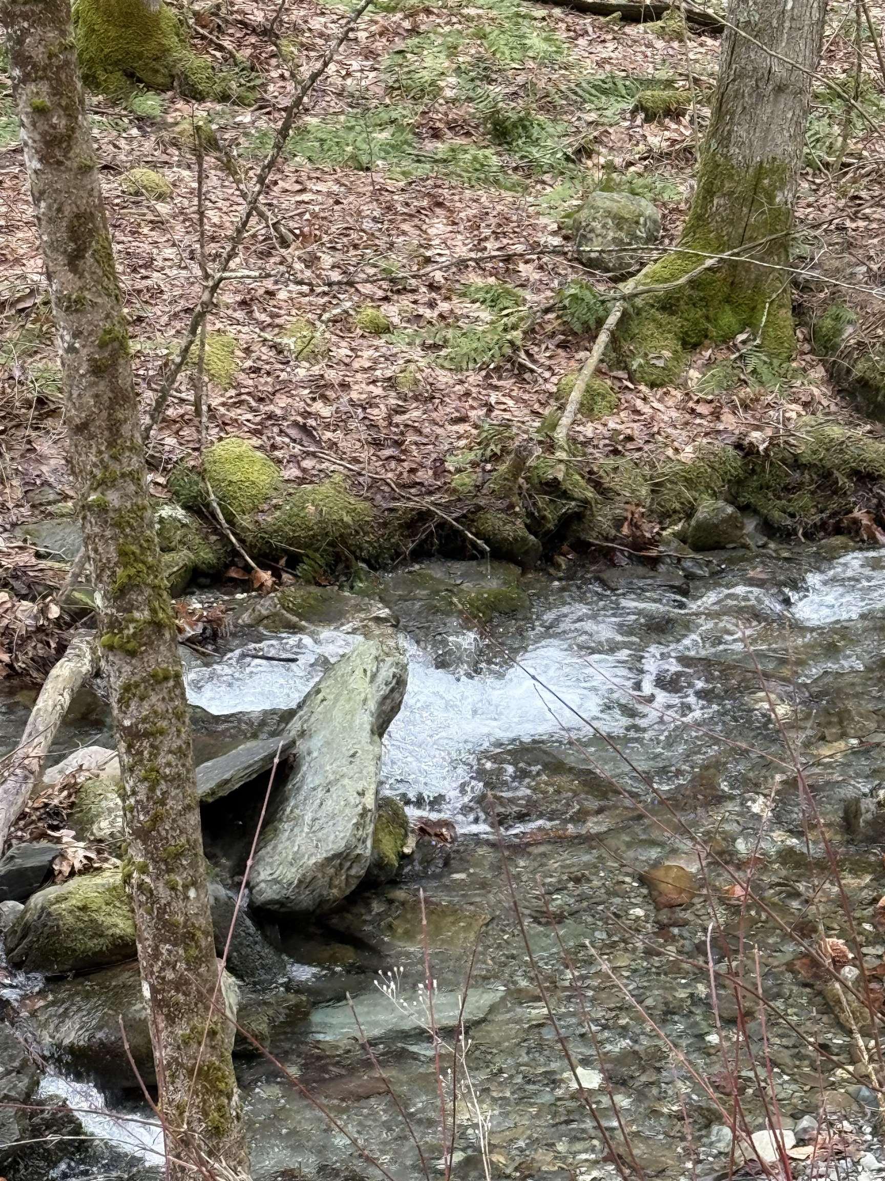 Image 1: Endless Brook meandering through Image 1: Endless Brook meandering through