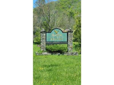107 Blueberry Ledge Ridge