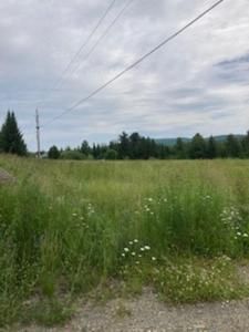2890 Carter Road