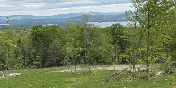 Image 2: House Site
