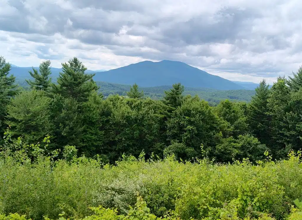 Image 1 Image 1